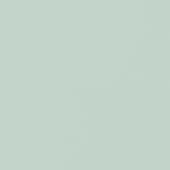 HAY Chairs*Aac 22 Chair | Oak/Dusty Mint