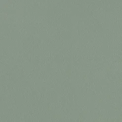 HAY Chairs*Aac 22 Chair | Walnut/Fall Green