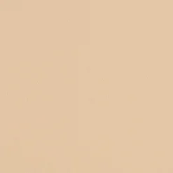 HAY Chairs*Aac 22 Chair | Walnut/Pale Peach