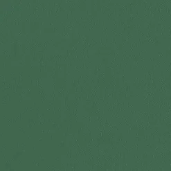 HAY Chairs*Aac 22 Chair | Walnut/Teal Green