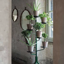 Zanotta Decoration*Albero | Green