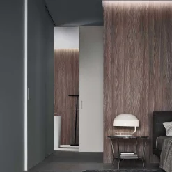 Rimadesio Decoration*Graphis Light | Sliding Doors