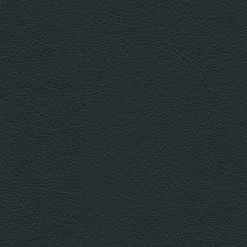 Vitra Single Armchairs*Lounge Chair & Ottoman | Black Ash - Asphalt Leather