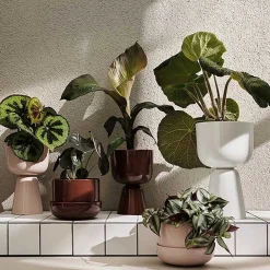 Iittala Vases*Nappula Plant Pot | 230X155Mm - Brown