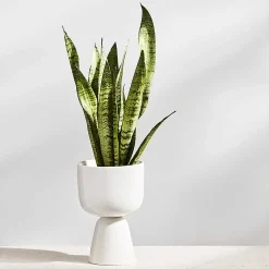 Iittala Vases*Nappula Plant Pot | 260X155Mm - White