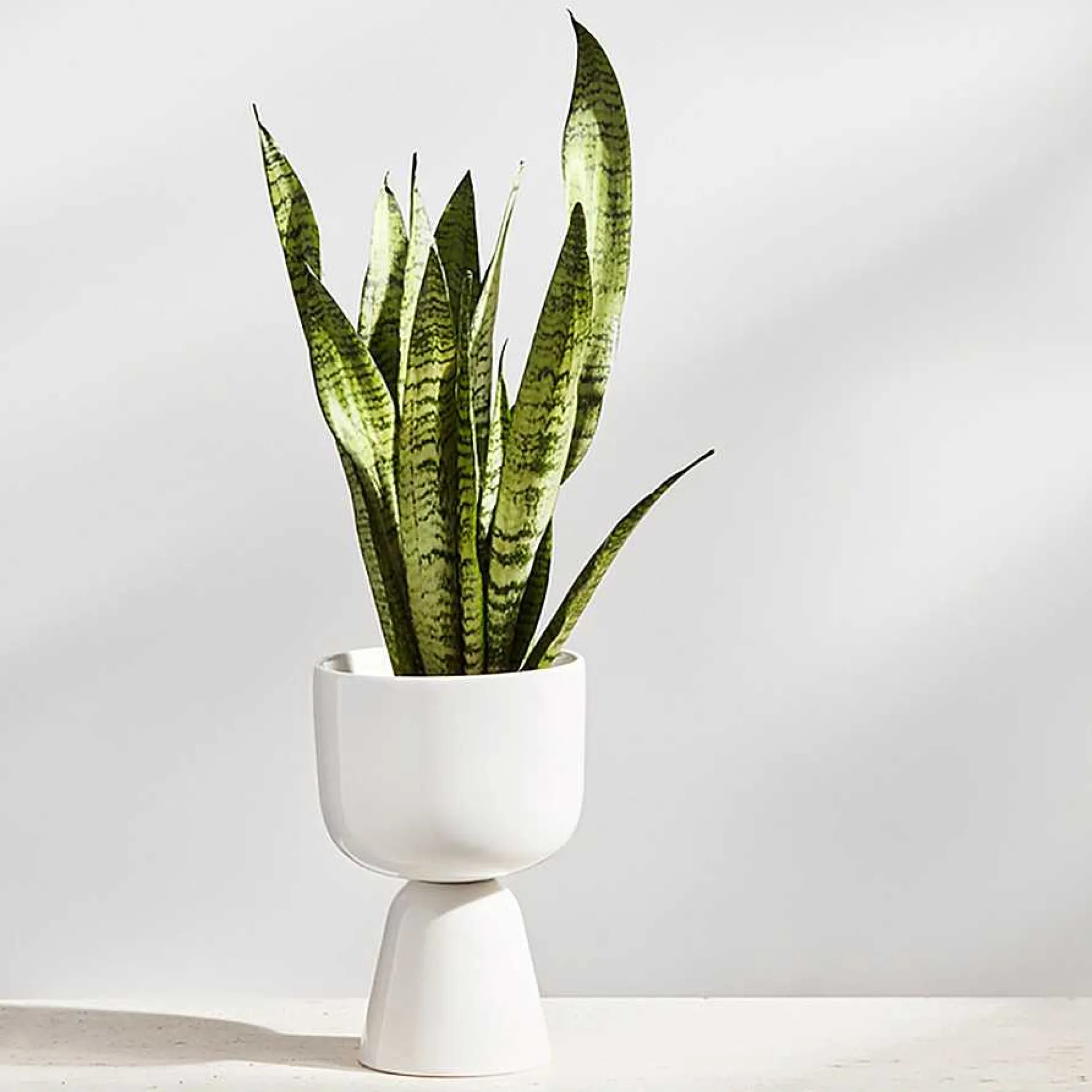 Iittala Vases*Nappula Plant Pot | 260X155Mm - White