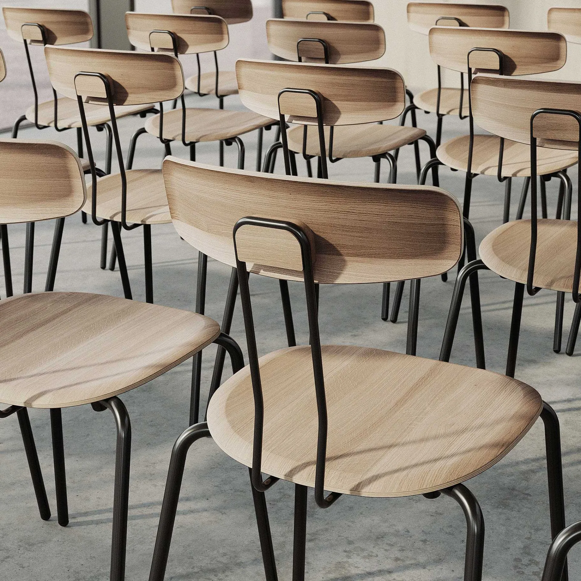 Zeitraum Chairs*Okito Ply | Chair | Oak