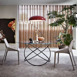 Molteni Chairs*Outline - Chair