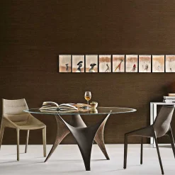 Molteni Chairs*Outline - Chair