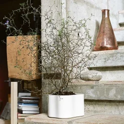 Artek Vases*Riihitie Plant Pot B | Polished White - Small
