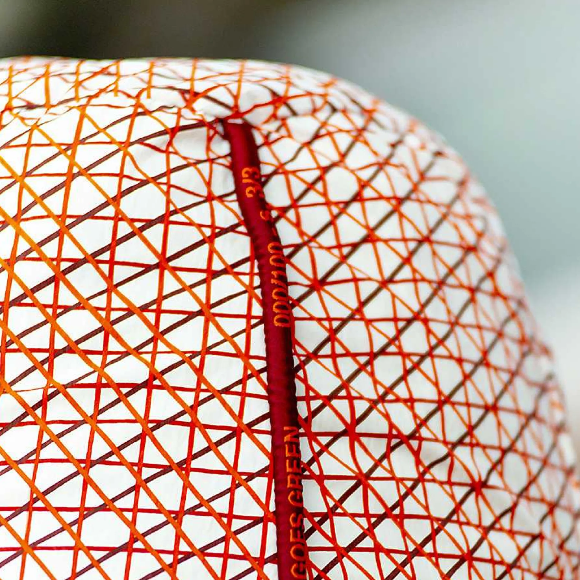 Zanotta Pouf*Sacco Goes Green | Pouf | Red