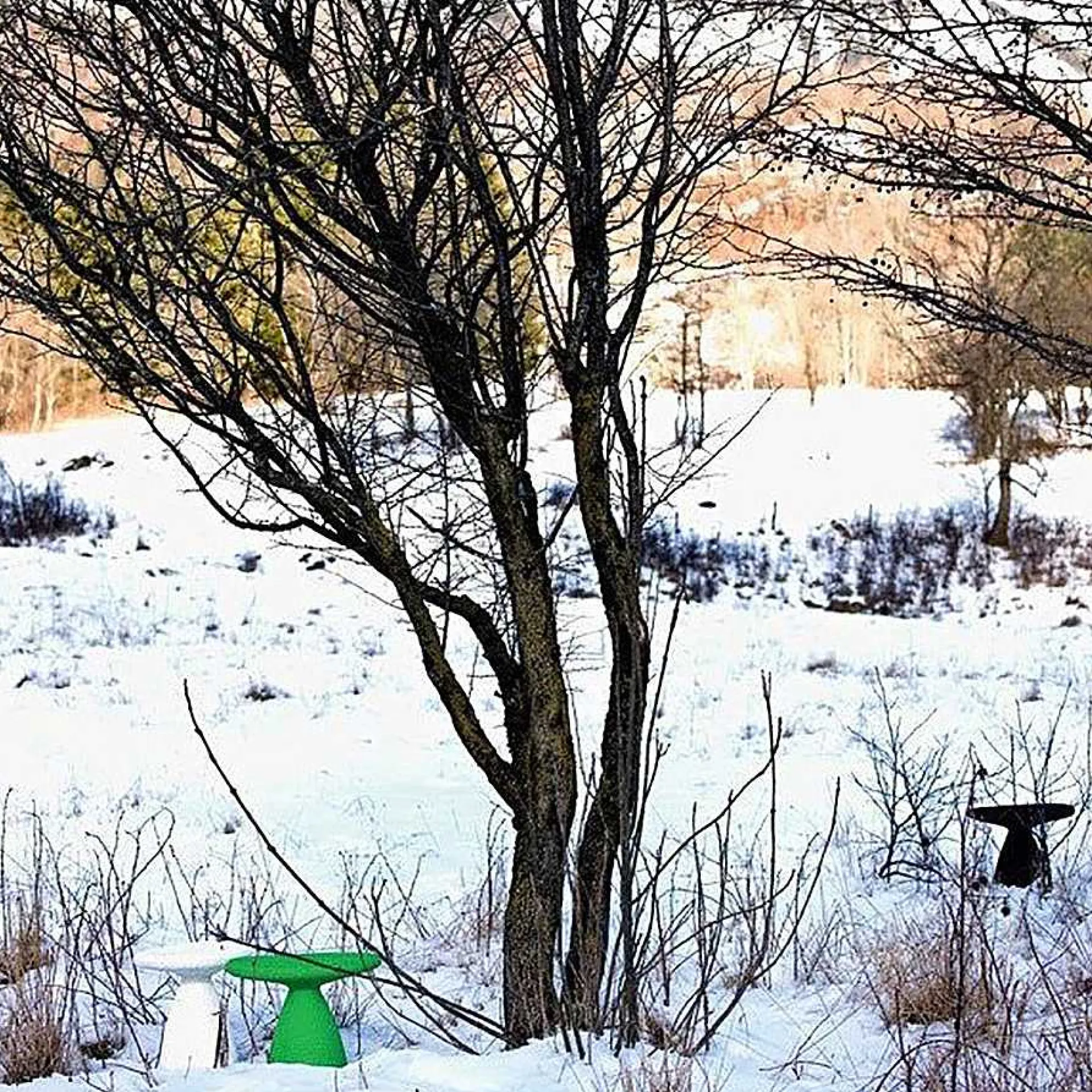 Moroso Outdoor Chairs*Shitake Stool | Black