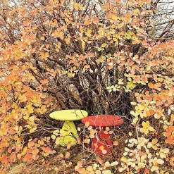 Moroso Outdoor Chairs*Shitake Stool | Orient Red